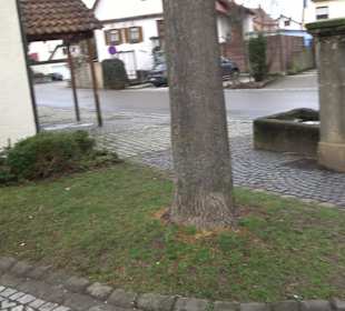 Rathaus Kleinbettlingen