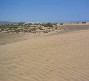 Dünen in Maspalomas bei Meloneras