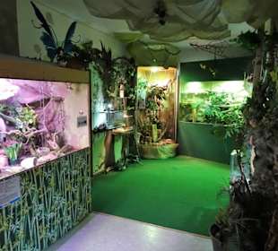 Blick in die Ausstellungsräume des Nautiland