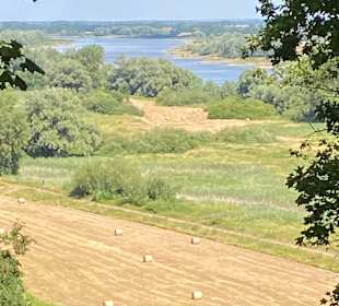 Wandern Hitzacker (Elbe)