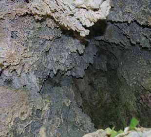 Горный нацпарк Истоки реки Уредерра, Наварра