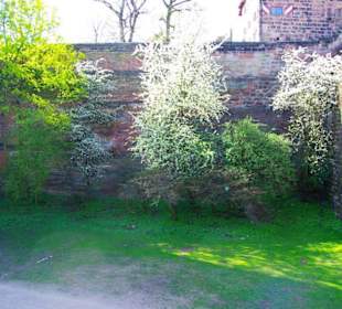 Entfernung hinten der Absprung..