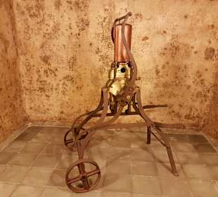 Weinmuseum und Kakteen-Ausstellung El Grifo