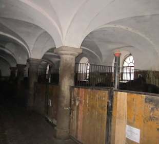 Schloss Fürstenstein ( Ksiaz ) Staatliches Gestüt