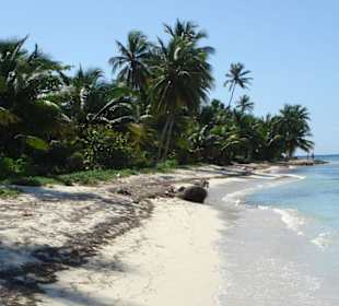Insel Saona