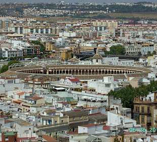 Arena walki z bykami