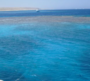 Dieses Riff läd zum Schnorcheln ein