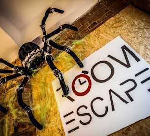Escape Room Warszawa - Room Escape - Spider