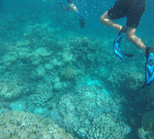 Schnorchel-Impressionen