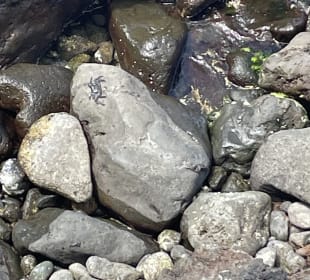 Strandpromenade San Telmo