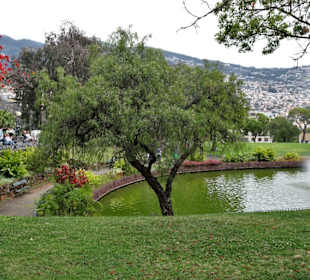 Impressione aus dem Parque de Santa Catarina