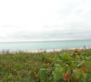 Blick auf den Strand