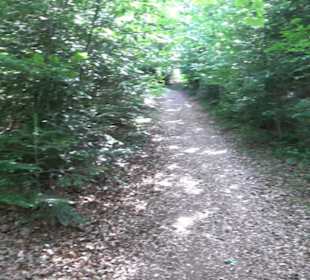 Kreuzweg zum Tannenrain