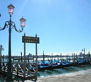 Servizio gondole