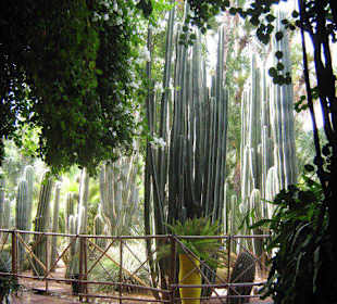 Jardin Majorelle