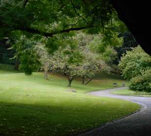 Stadtpark Bochum
