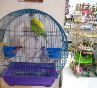 Shop gleich dem Hotel