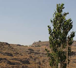 View from the rooftop