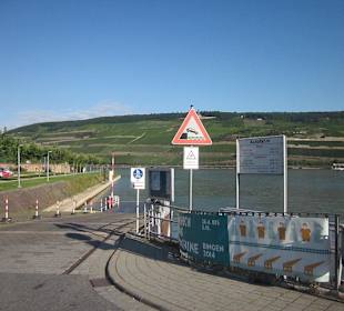 Fähre Rüdesheim