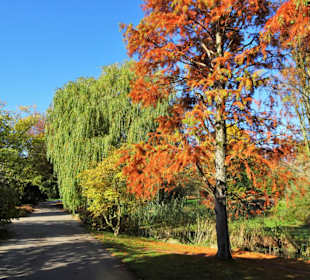 Rundgang durch den Botanischen Garten Hamburg