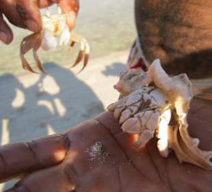 Schöne Schifffahrt mit Tauchen