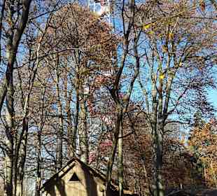 Aussichtswarte bei Gießelsdorf ( 36 m )