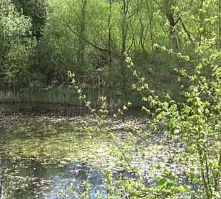 Naturerlebnisweg des NABU-Metzingen