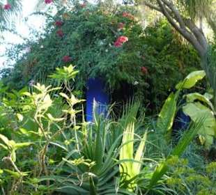 Jardin majolle