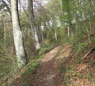 Wanderweg Hochgehswiggert