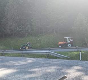 Traktoren Oldtimer da Parke ich immer