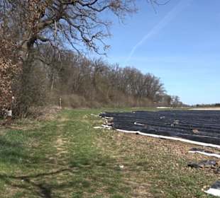 Premiumwanderweg "hochgeblickt"