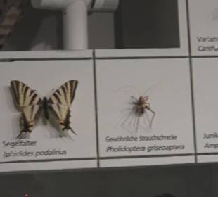 Naturkundemuseum