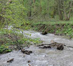 Slowakisches Paradies