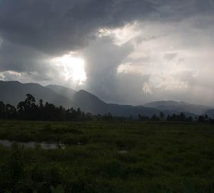 Droga do Bukit Lawang