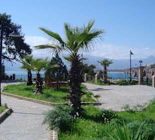 Parkt direkt über dem Hafen von Antalya