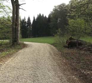Wanderweg Hochgehswiggert