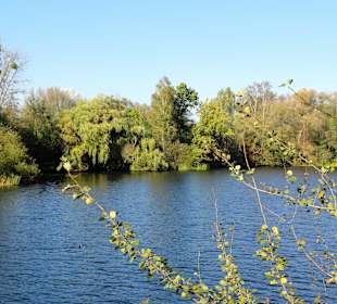 Impressionen vom See