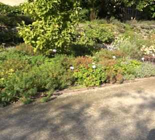 Botanischer Garten München