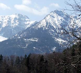 Blickk über den See in die Allgäuer Berge