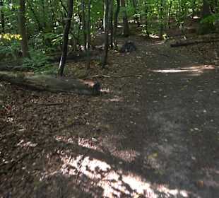 Heslacher Wasserfälle