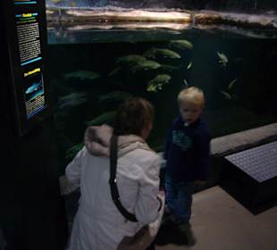Sea Life Center Konstanz