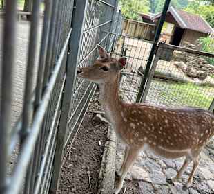 Alsdorf Zoo