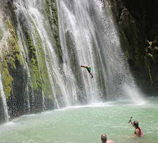 El Limon Klippenspringer