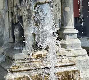 Löwen am Brunnen