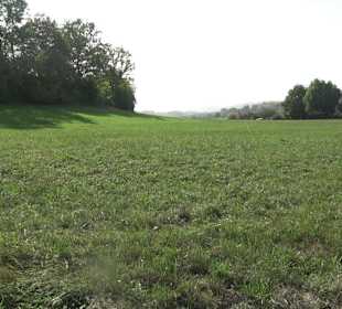Wanderung zur Burgruine Liebenau