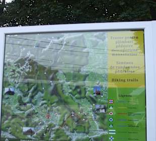 Manastirea Humorului