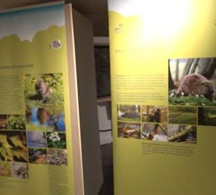 HöhlenSchauLand Hürben