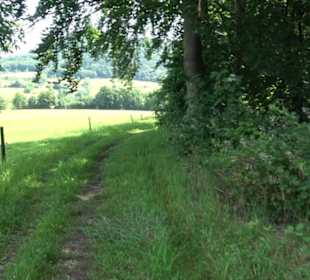 Premiumspazierweg Früchtetrauf-Leisawegle