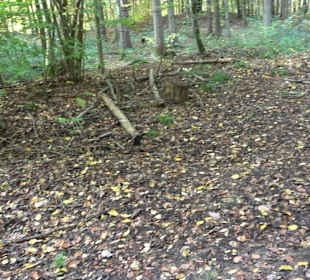 Keltische Grabstätten Stockach