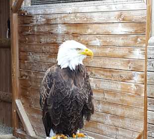 Wild- und Freizeitpark Willingen